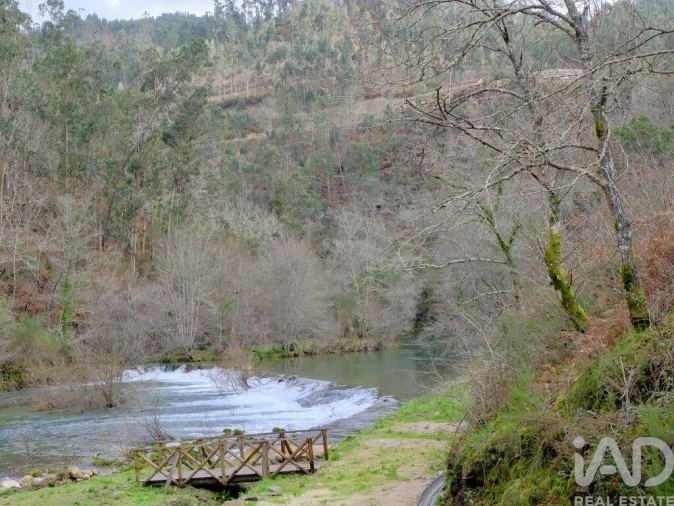 Quinta para Venda em São João da Serra Foto 18