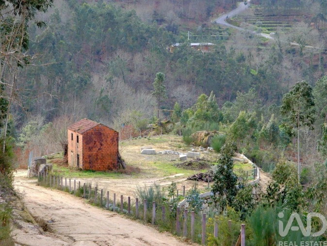Quinta para Venda em São João da Serra Foto 4