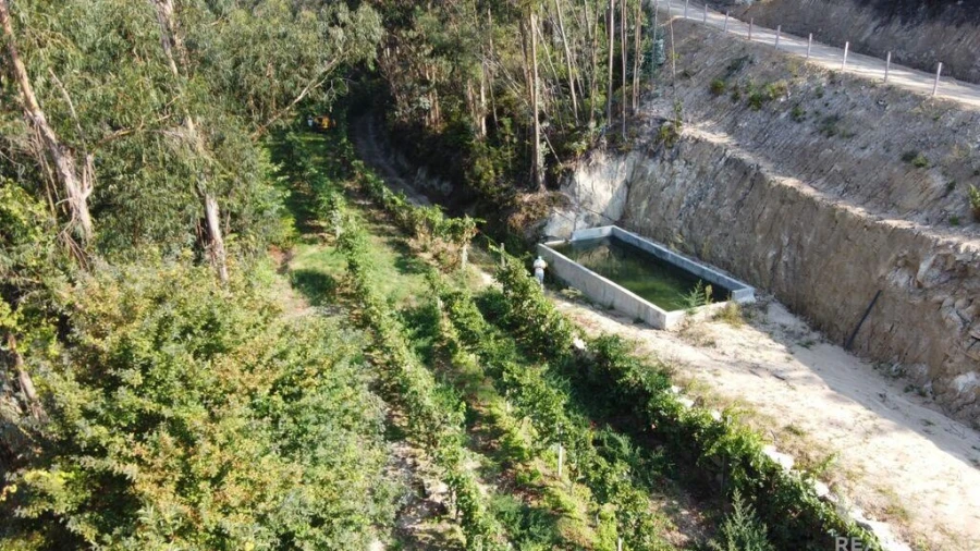 Quinta para Venda em São João da Serra Foto 15