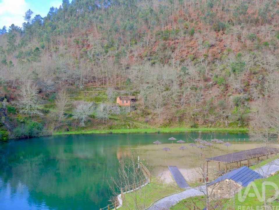 Quinta para Venda em São João da Serra Foto 19