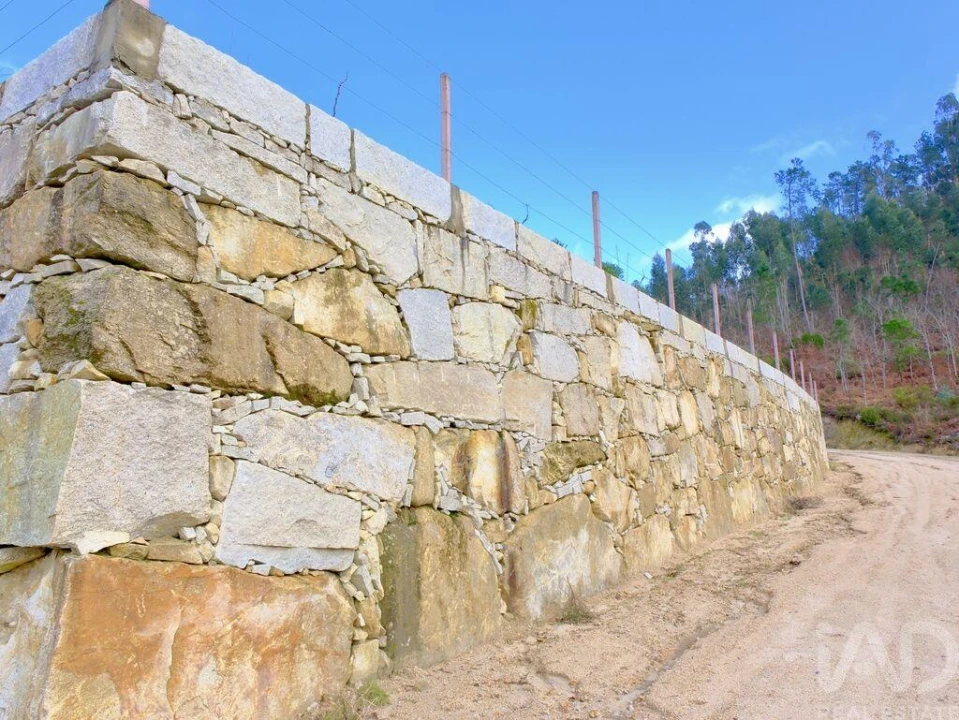 Quinta para Venda em São João da Serra Foto 16