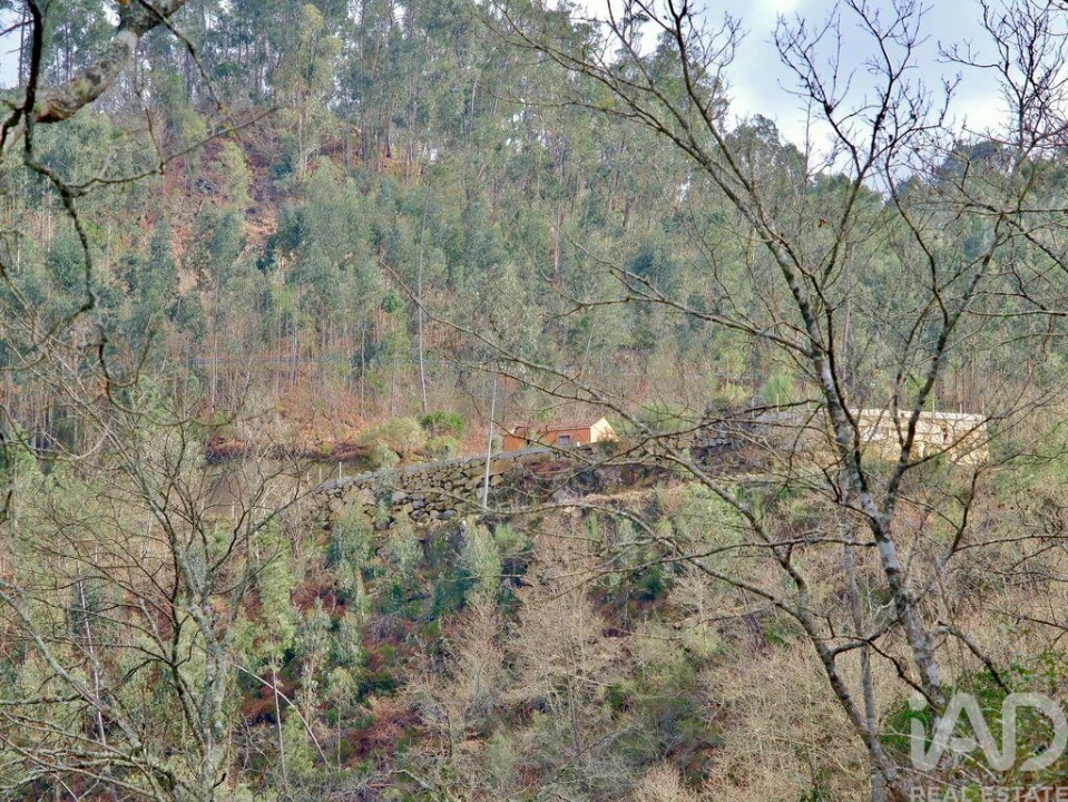 Quinta para Venda em São João da Serra Foto 17
