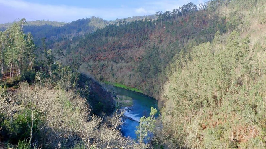 Quinta para Venda em São João da Serra
