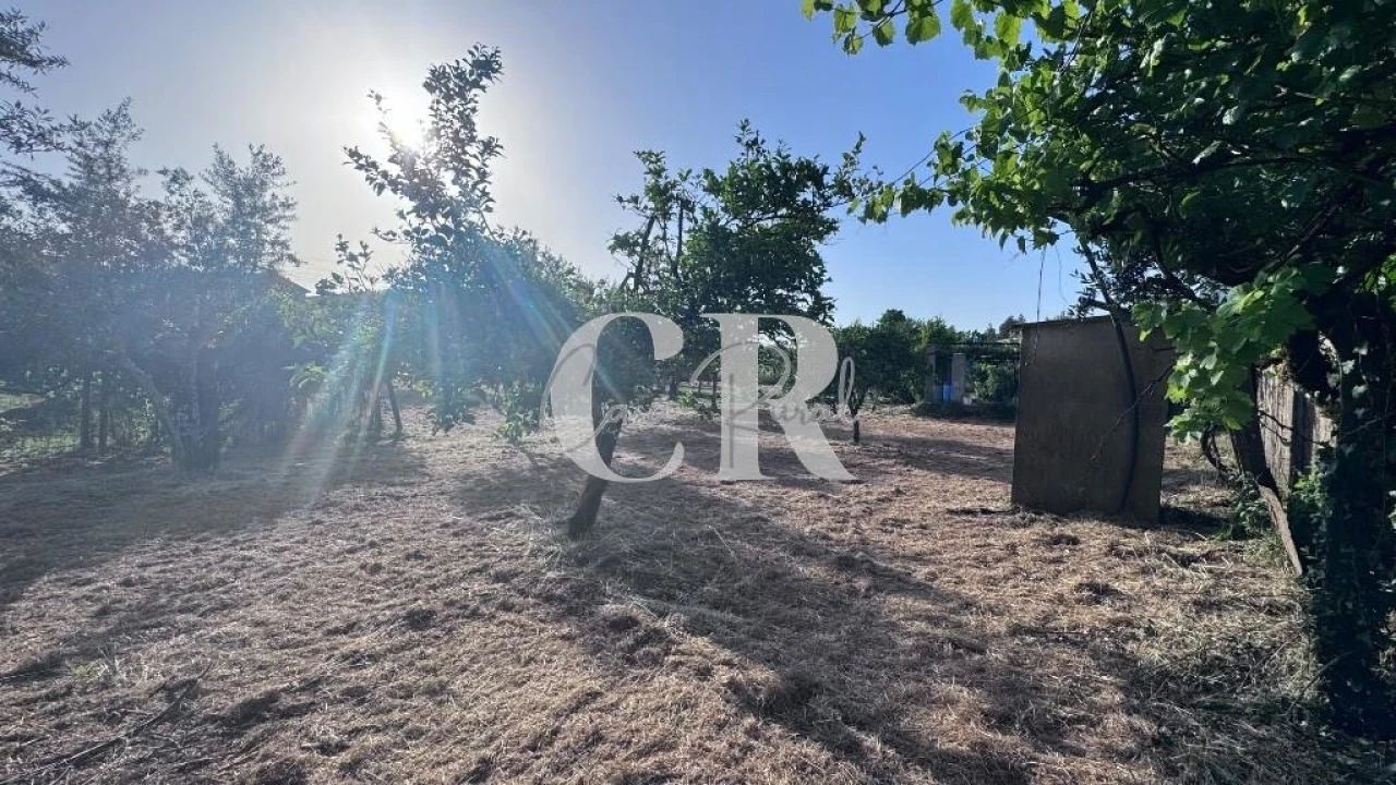 Moradia T3 para Venda em Graça Foto 41