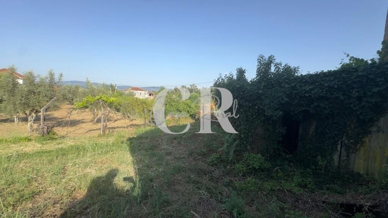 Moradia T3 para Venda em Graça Foto 44