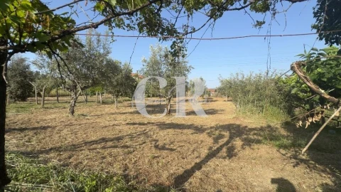 Moradia T3 para Venda em Graça