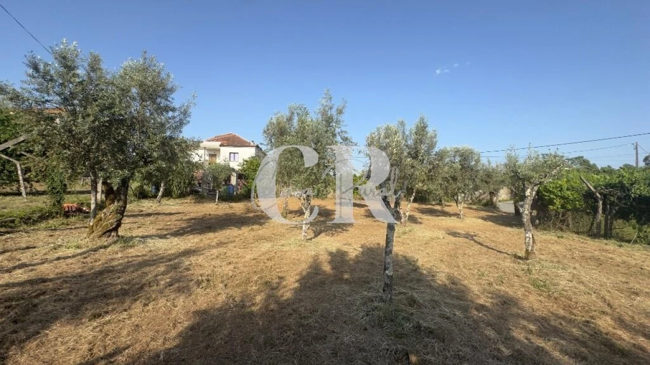 Moradia T3 para Venda em Graça Foto 47