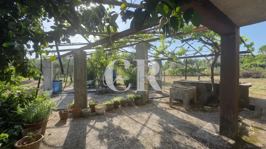 Moradia T3 para Venda em Graça Foto 23