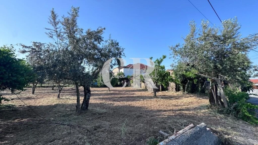 Moradia T3 para Venda em Graça Foto 50