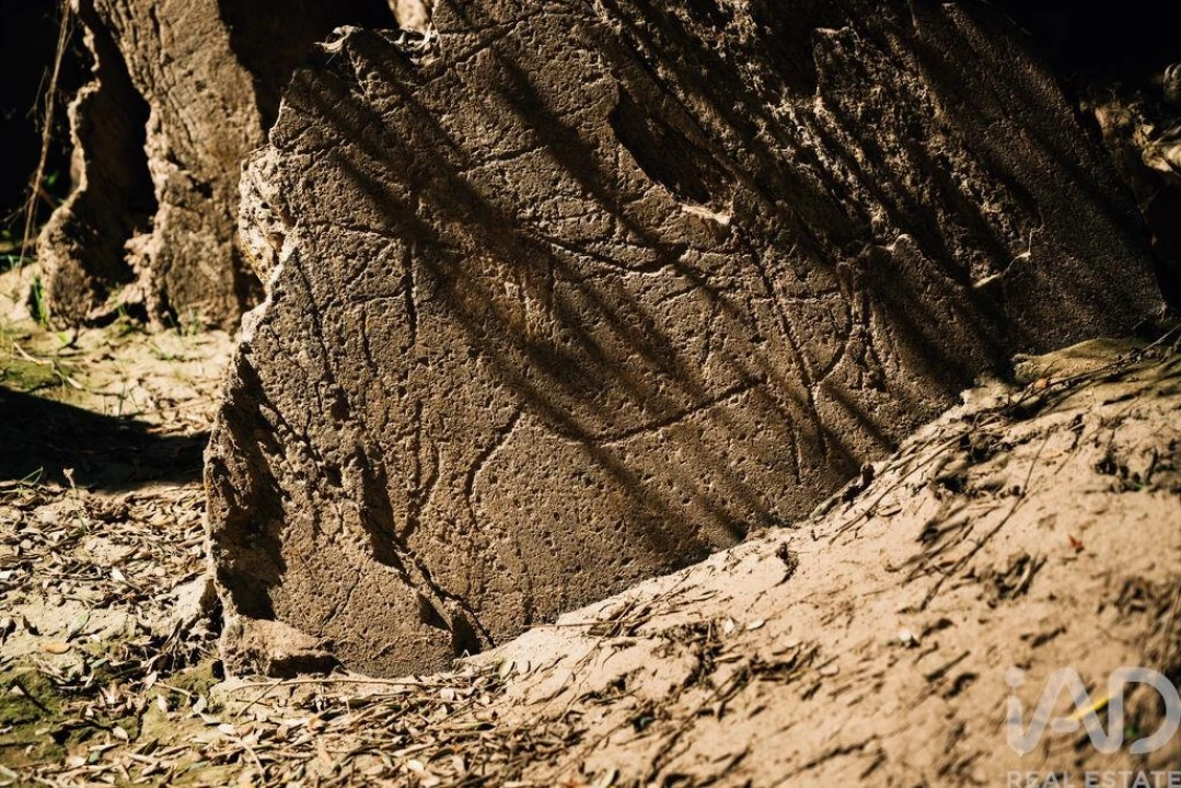 Terreno para Venda em Chãs Foto 33