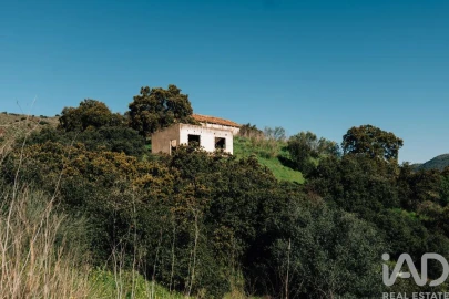Terreno para Venda em Chãs