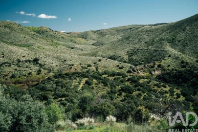 Terreno para Venda em Chãs