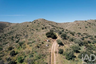 Terreno para Venda em Chãs