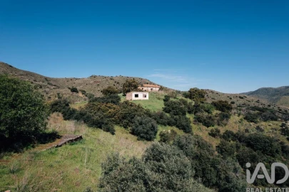 Terreno para Venda em Chãs