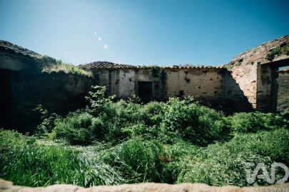 Terreno para Venda em Chãs