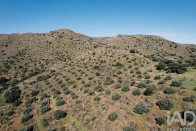 Terreno para Venda em Chãs
