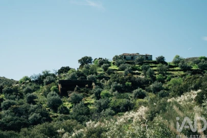 Terreno para Venda em Chãs