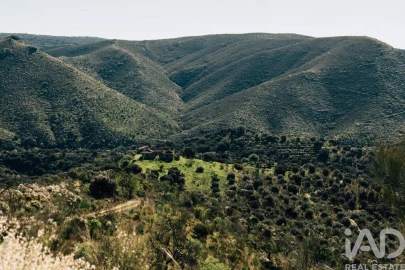 Terreno para Venda em Chãs