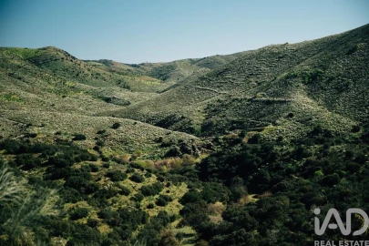 Terreno para Venda em Chãs