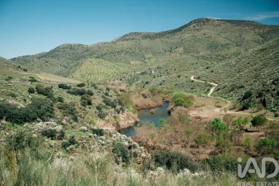 Terreno para Venda em Chãs