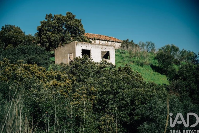 Terreno para Venda em Chãs Foto 19