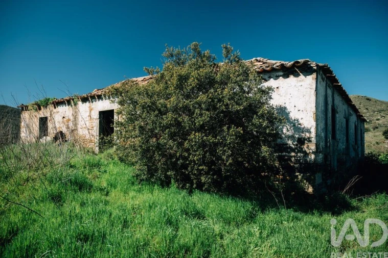Terreno para Venda em Chãs Foto 11