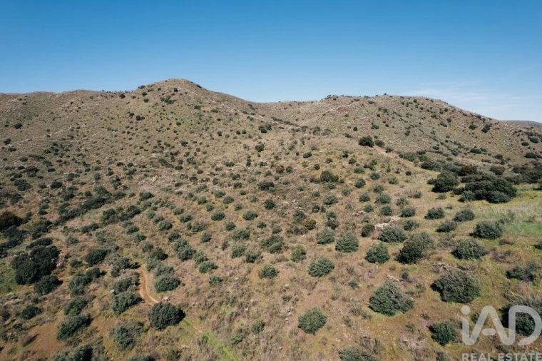 Terreno para Venda em Chãs Foto 26