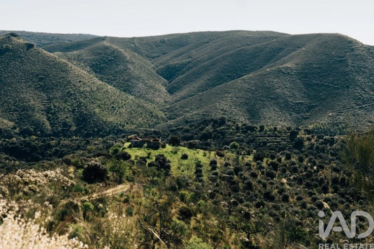Terreno para Venda em Chãs Foto 24