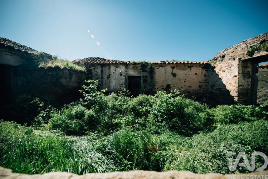 Terreno para Venda em Chãs Foto 5