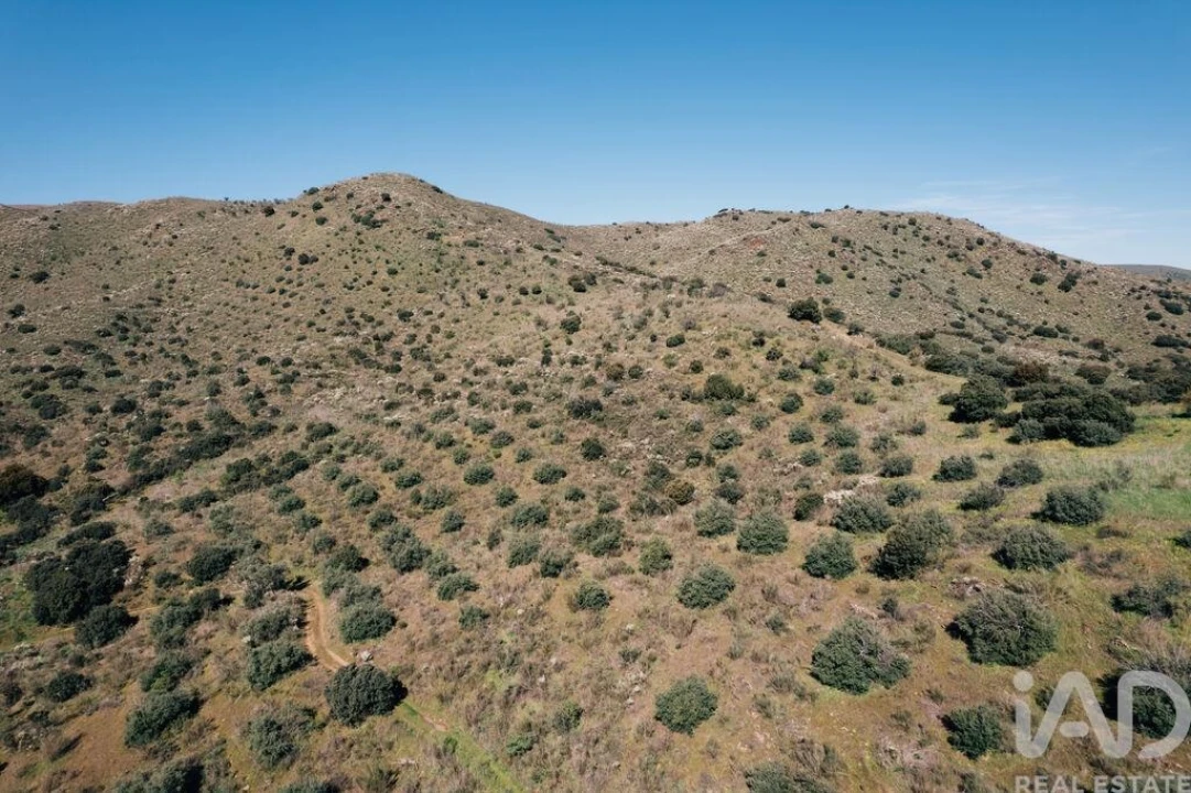 Terreno para Venda em Chãs Foto 26