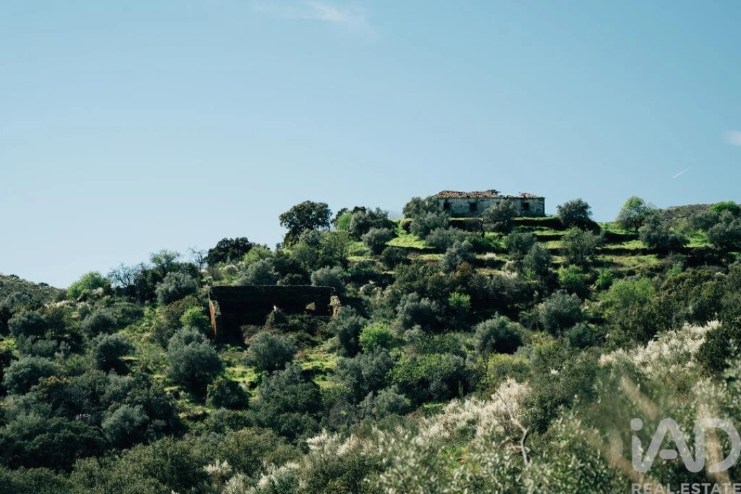 Terreno para Venda em Chãs Foto 14