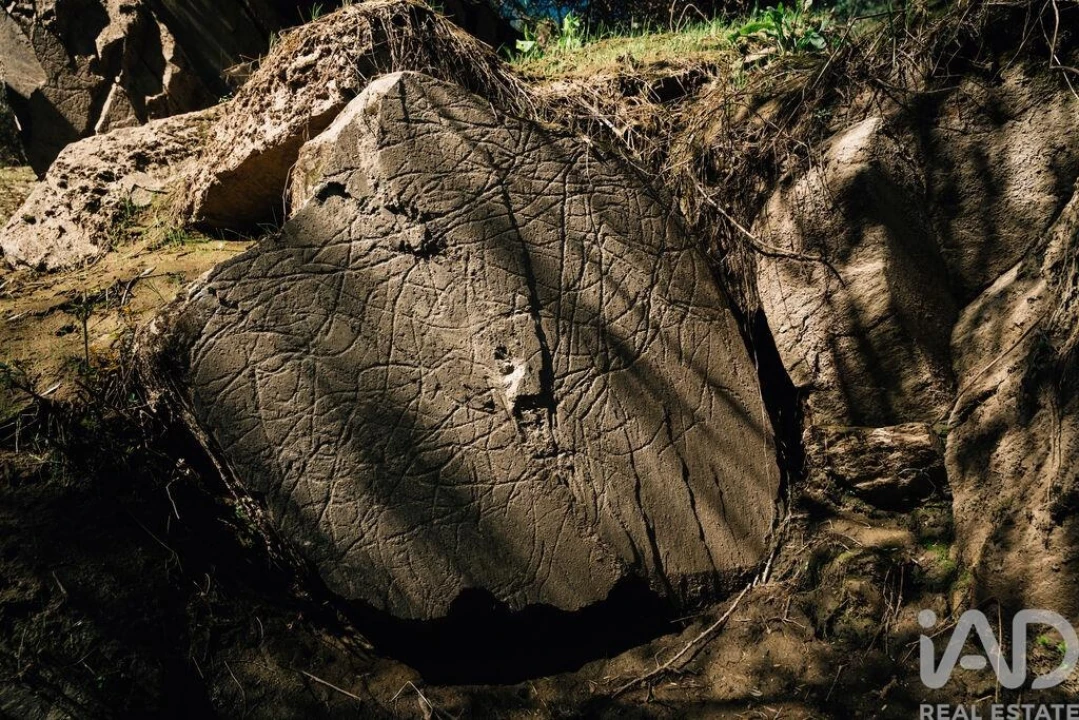 Terreno para Venda em Chãs Foto 32