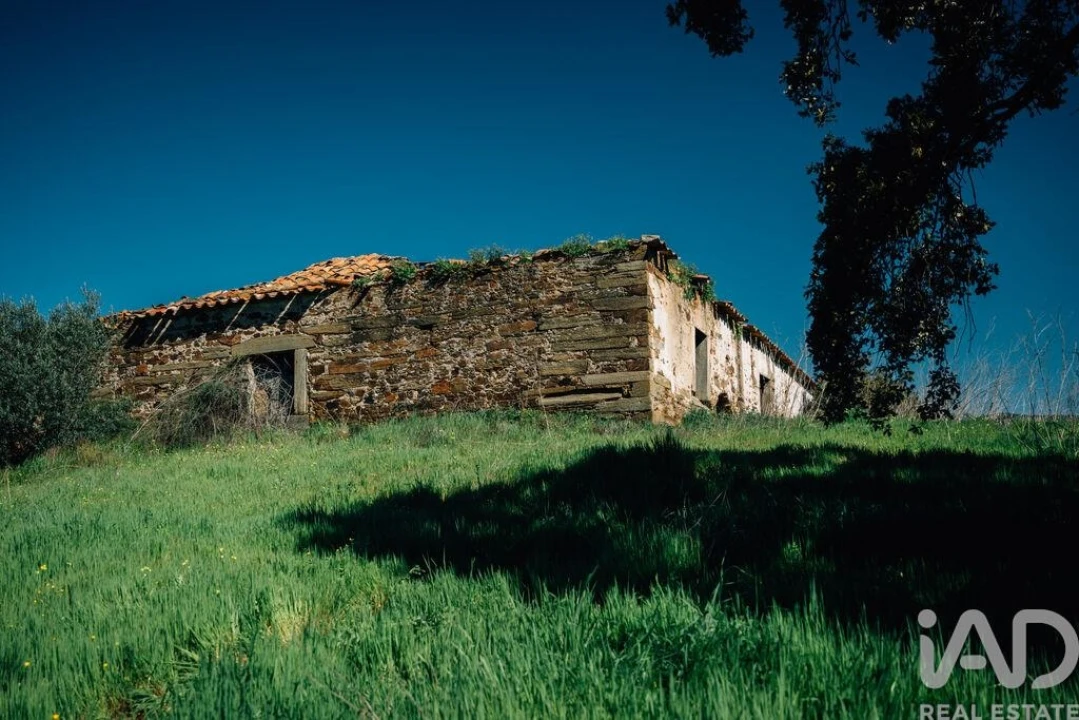 Terreno para Venda em Chãs Foto 7