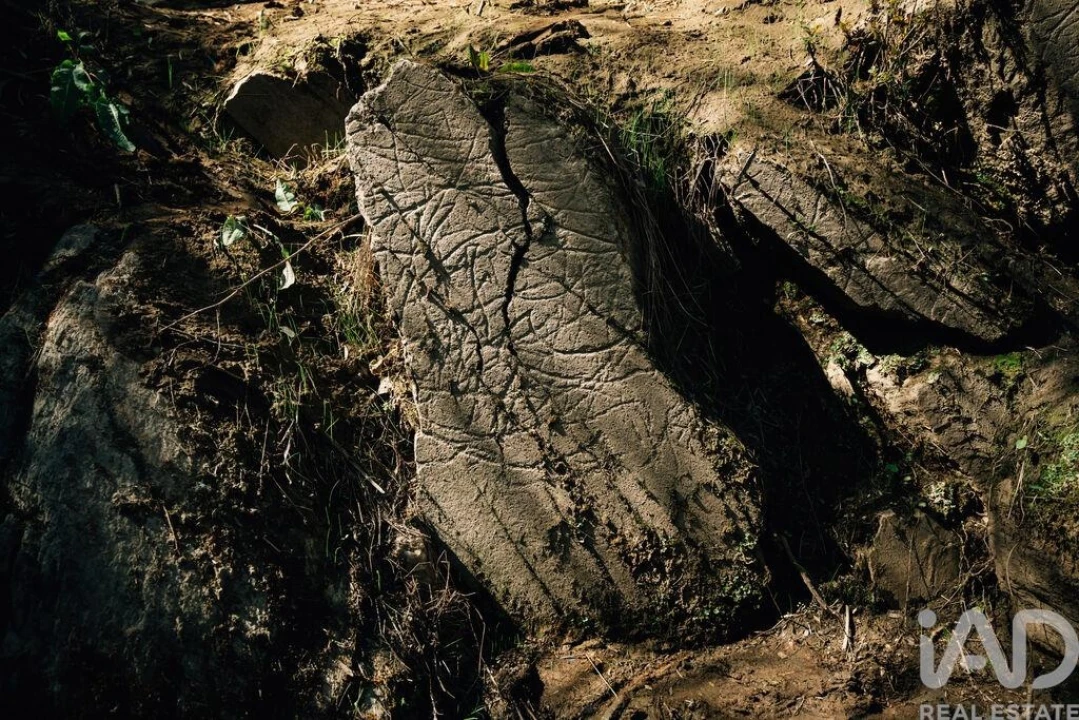 Terreno para Venda em Chãs Foto 30