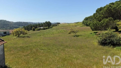 Terreno para Venda em Alfeizerão