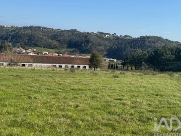 Terreno para Venda em Alfeizerão