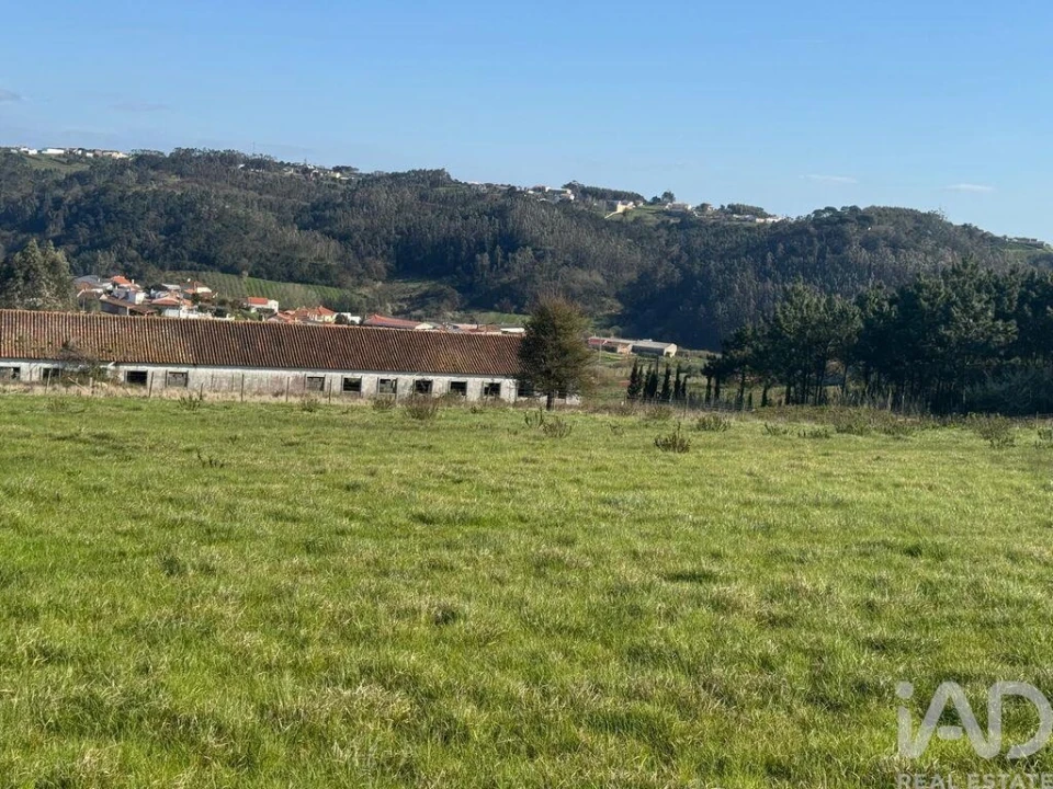 Terreno para Venda em Alfeizerão Foto 4
