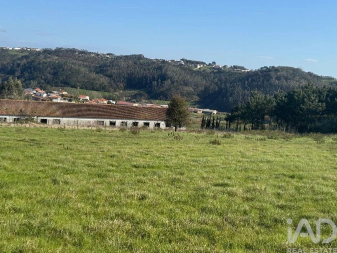 Terreno para Venda em Alfeizerão Foto 4