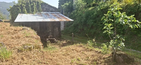 Terreno para Venda em Bouro (Santa Marta)