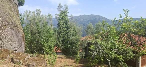 Terreno para Venda em Bouro (Santa Marta)