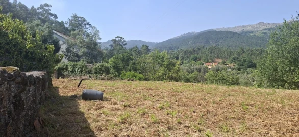 Terreno para Venda em Bouro (Santa Marta)
