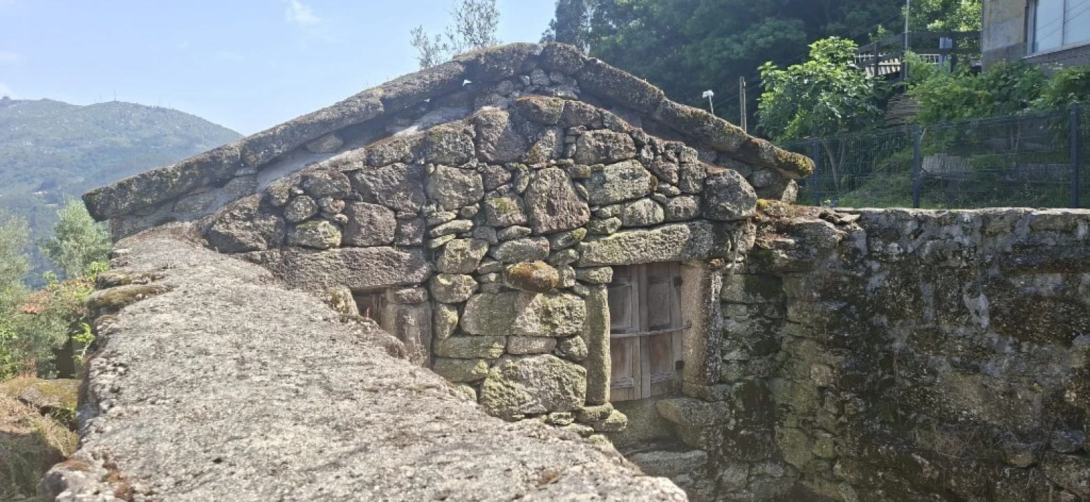 Terreno para Venda em Bouro (Santa Marta) Foto 20