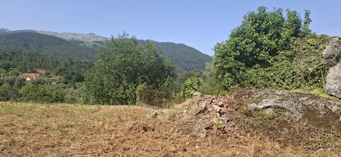 Terreno para Venda em Bouro (Santa Marta) Foto 17