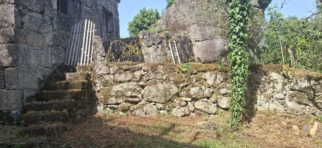 Terreno para Venda em Bouro (Santa Marta) Foto 3
