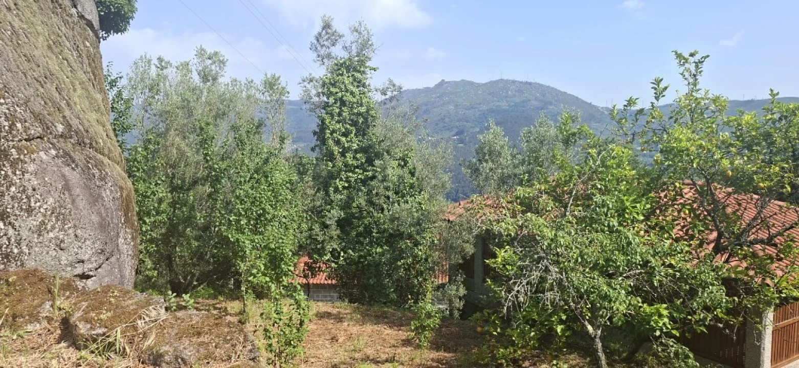 Terreno para Venda em Bouro (Santa Marta) Foto 12