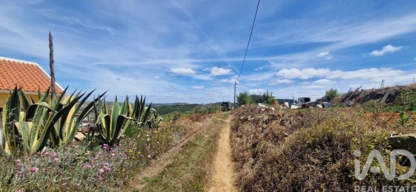 Terreno para Venda em Santo Isidoro