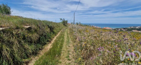 Terreno para Venda em Santo Isidoro