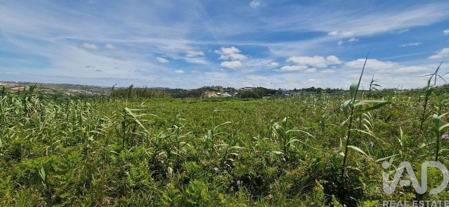 Terreno para Venda em Santo Isidoro Foto 17