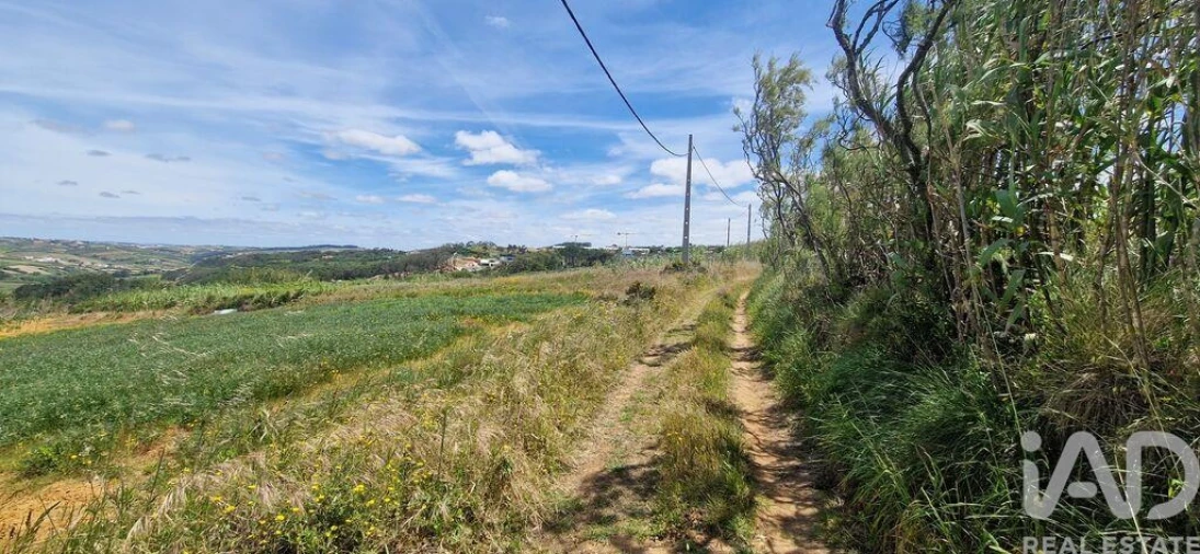 Terreno para Venda em Santo Isidoro Foto 5