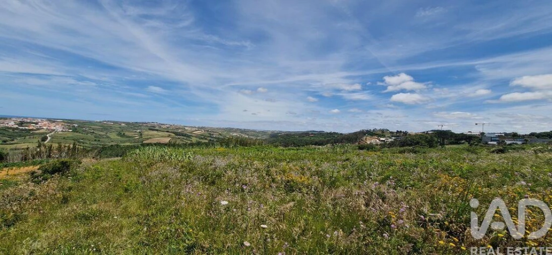 Terreno para Venda em Santo Isidoro Foto 14